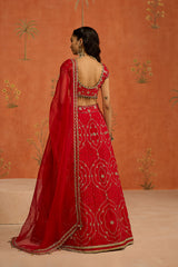 SUHANA LEHENGA SET