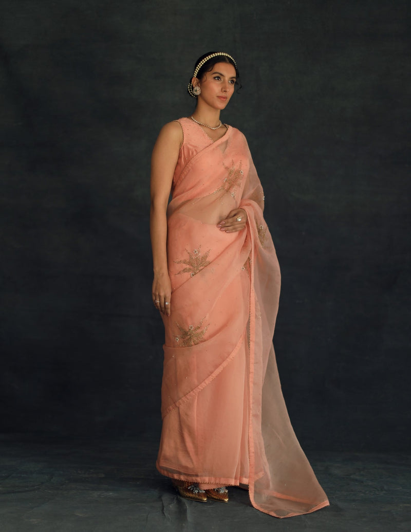Salmon Savi (only Blouse)
