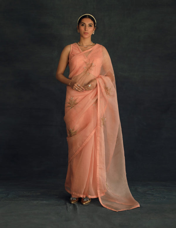Salmon Savi (only Blouse)