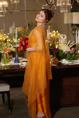 Muskan Chanana In Turmeric Dani Cape Set