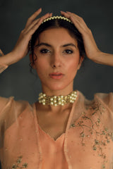 Apricot Zahi Silk Organza Cape Set