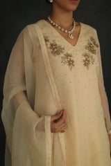 Beige Jasmin Silk Organza Kurta Set