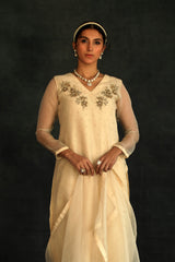 Beige Jasmin Silk Organza Kurta Set