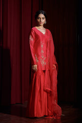 BERRY AMAIRA SILK SHARARA SET