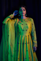 LIME PARVIZ ANARKALI SET