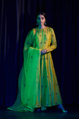 LIME PARVIZ ANARKALI SET