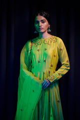 LIME PARVIZ ANARKALI SET