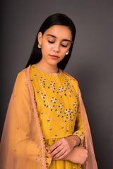 Sunheri Faiza Peshwas set