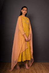 Sunheri Faiza Peshwas set