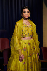 LIME ZARINA LEHENGA SET