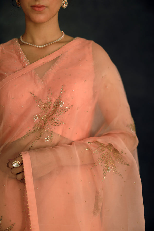 Salmon Savi Silk Organza Saree (excluding blouse)