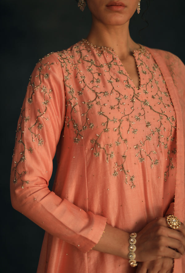 Salmon Zayra Kurta Set