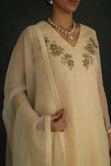 Beige Jasmin Silk Organza Kurta Set