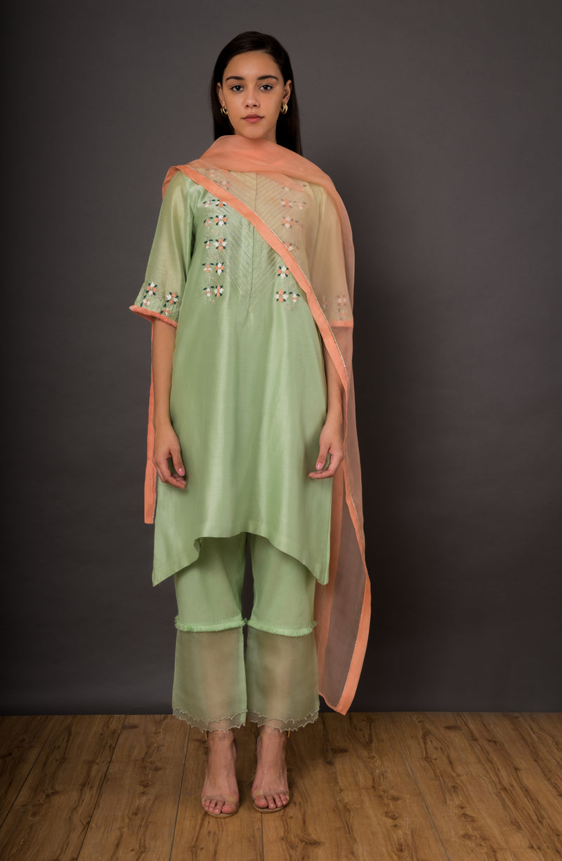 Hariyali Warda Kurta set
